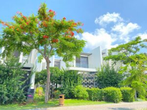 Villa oceanami 3 phòng ngủ nhìn từ bên ngoài