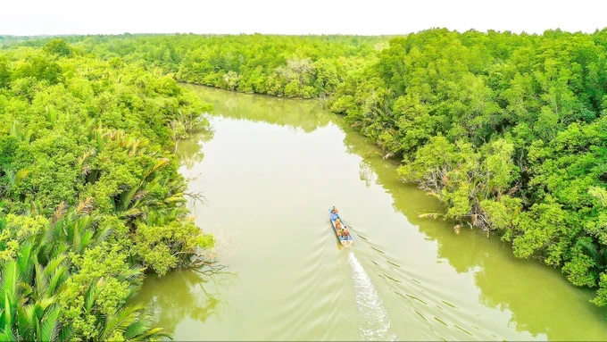 Chiếc thuyền di chuyển trên kênh rạch ở Cần Giờ