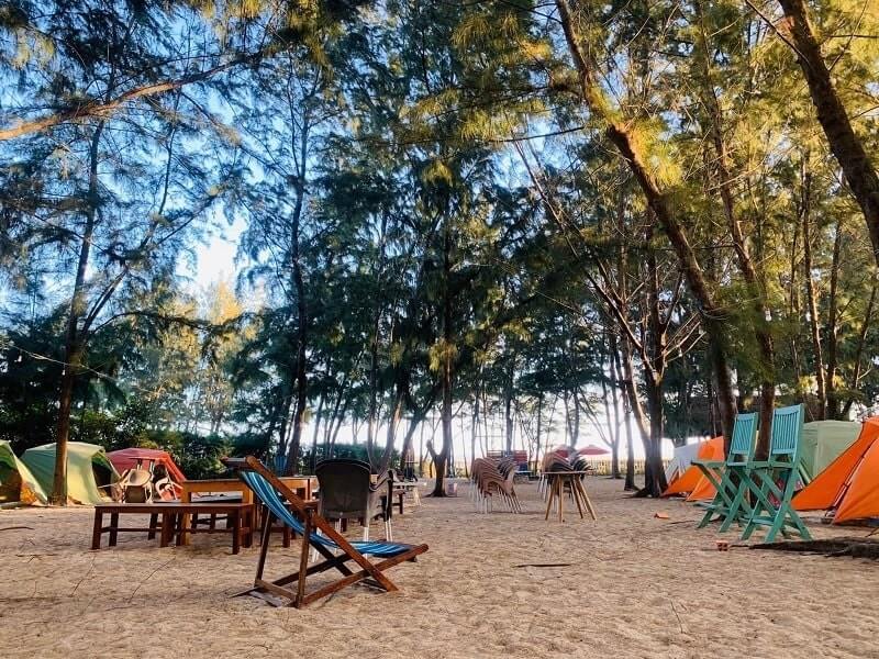 Khu vực cắm trại tại biển Long hải với hàng ghế, lều trại nằm dưới bóng cây xanh mát